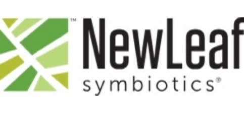 New leaf logo